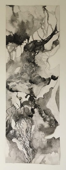 IMG_0146