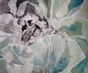 IMG_20170615_141033198